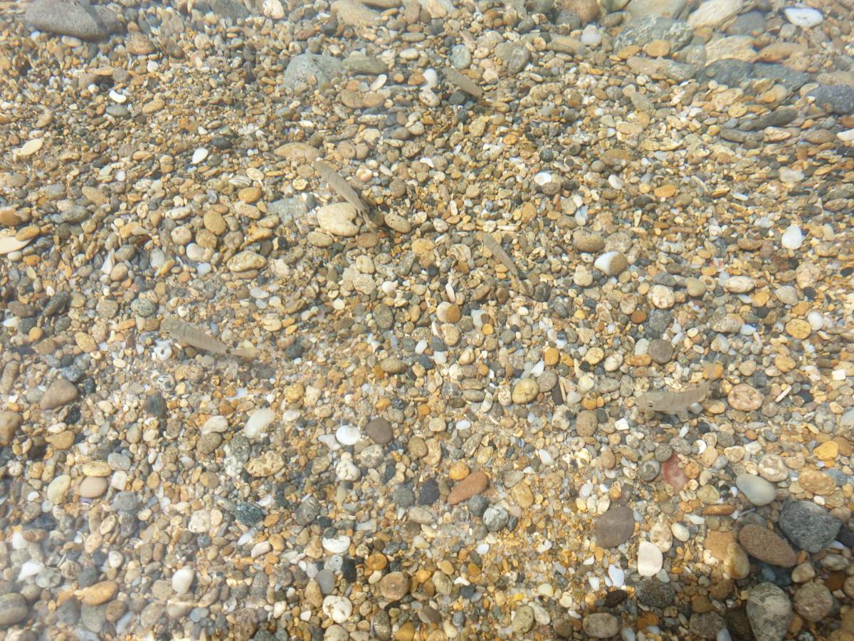 Resort ' Njulella Migliarello Εξωτερικό φωτογραφία